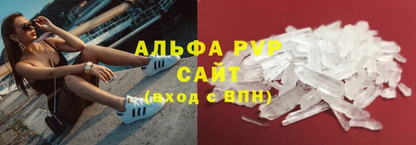 индика Нягань