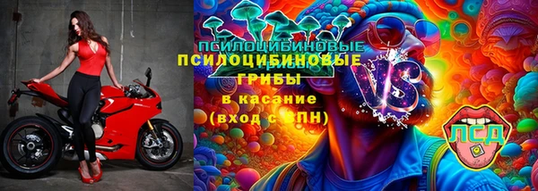 спайс Алексин