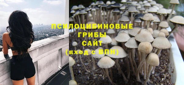 твердый Алексеевка