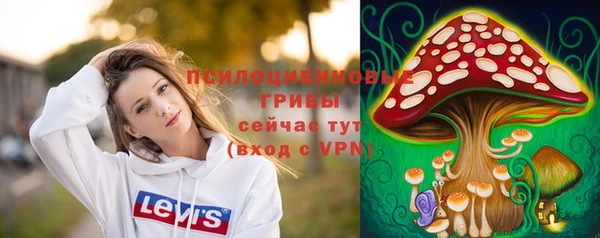спайс Алексин